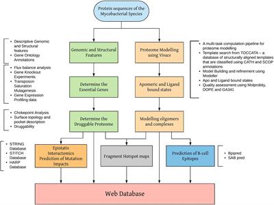 Structure-Guided Computational Approaches to Unravel Druggable Proteomic Landscape of Mycobacterium leprae